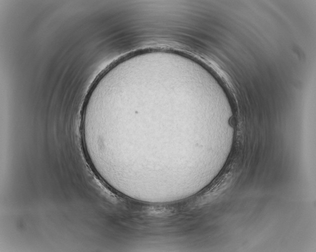 X0000111440799200908031351