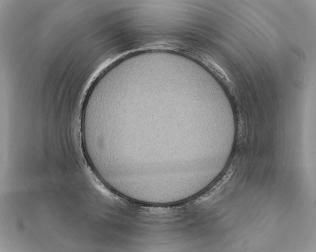 X0000111440800200908031351