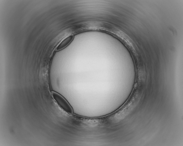 X0000111440801200908031351