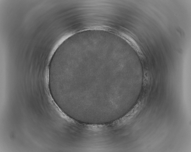 X0000111440804200908031351