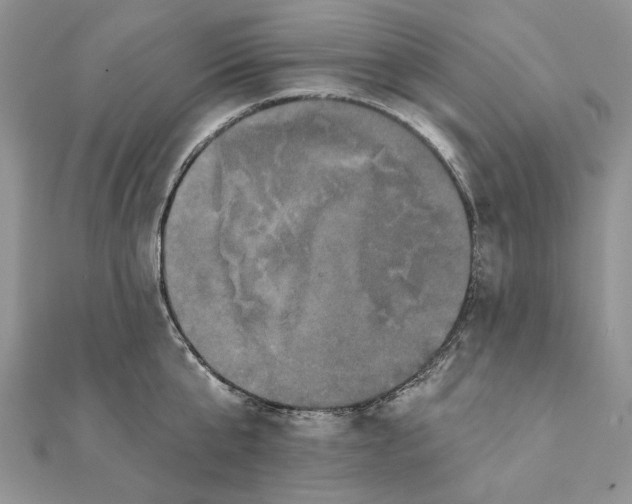 X0000111440807200908031351