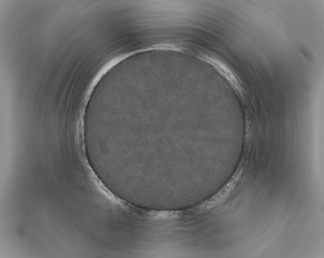 X0000111440808200908031351