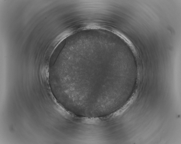 X0000111440809200908031351