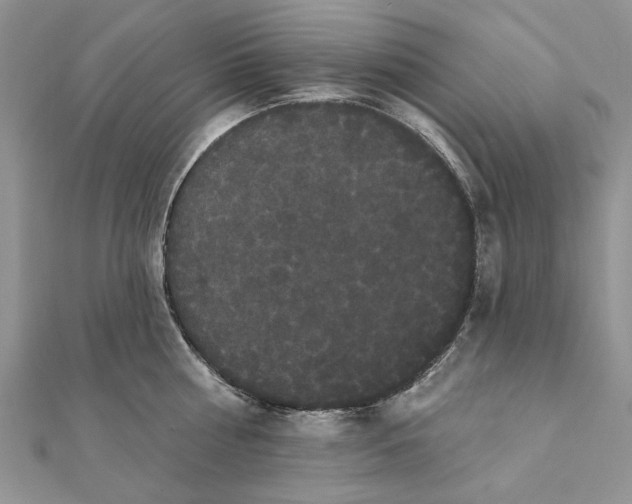 X0000111440810200908031351