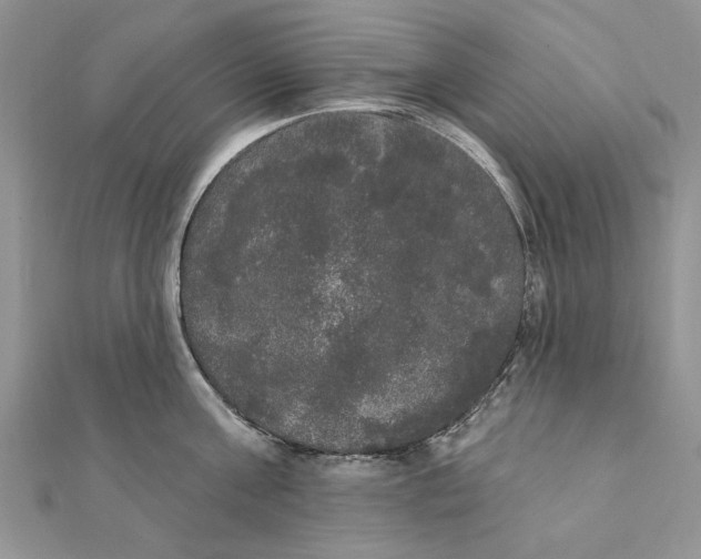 X0000111440811200908031351