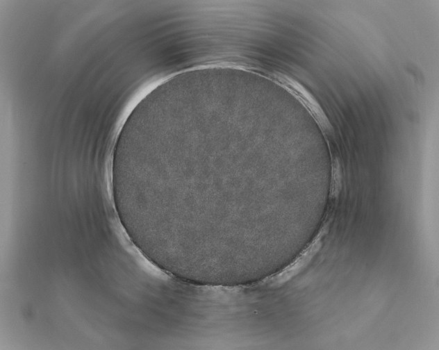 X0000111440812200908031351