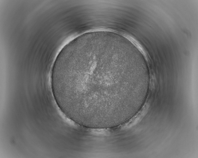 X0000111440813200908031351