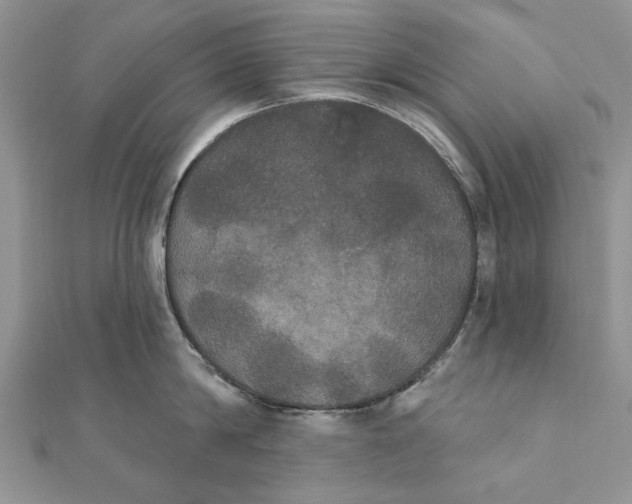 X0000111440814200908031351