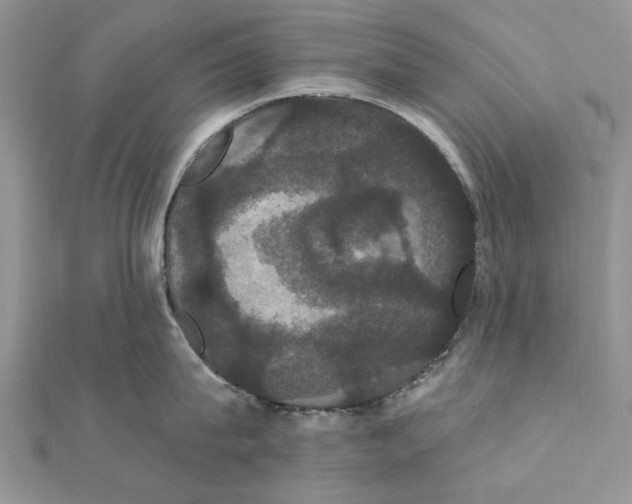 X0000111440815200908031351