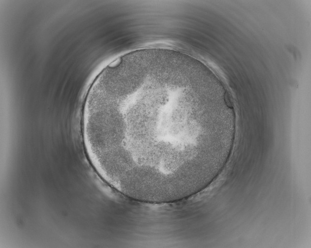 X0000111440816200908031351