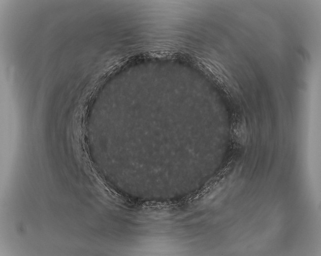 X0000111440817200908031350