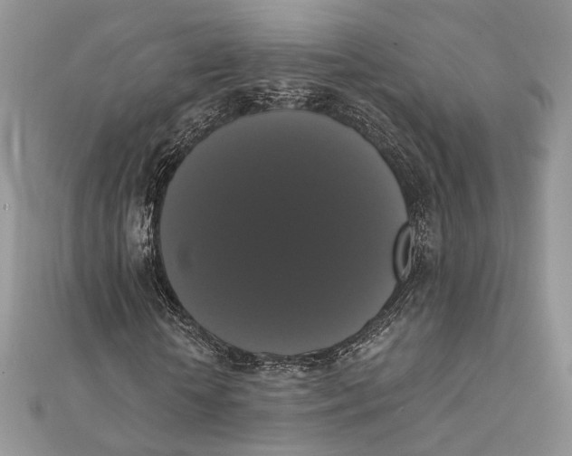 X0000111440818200908031350