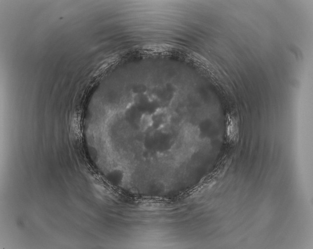 X0000111440819200908031350