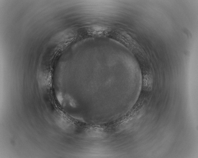 X0000111440820200908031350