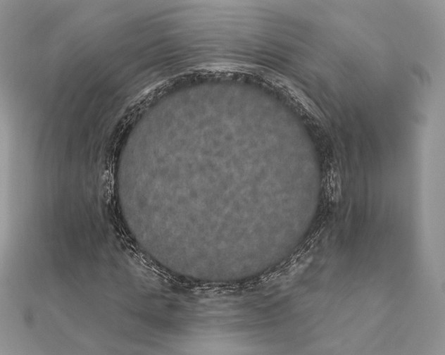 X0000111440821200908031350