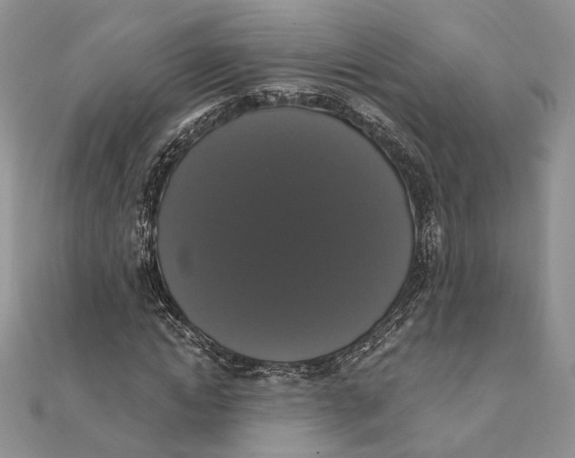 X0000111440822200908031350