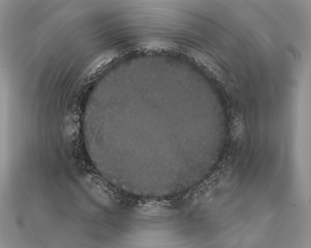 X0000111440824200908031350