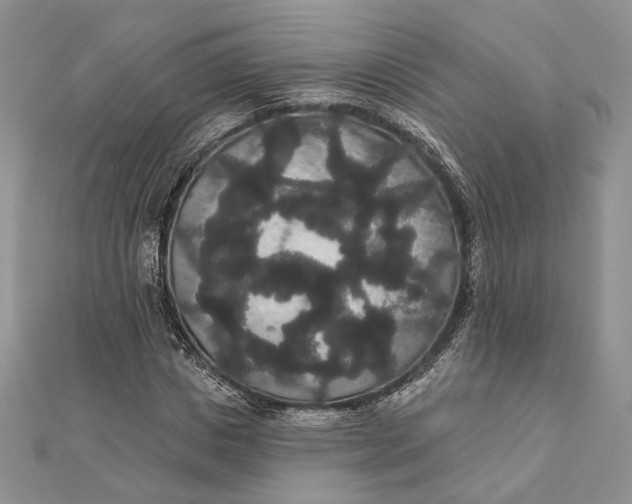 X0000111440825200908031350