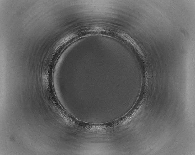 X0000111440826200908031350