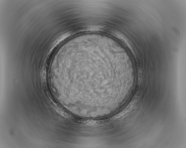 X0000111440827200908031350