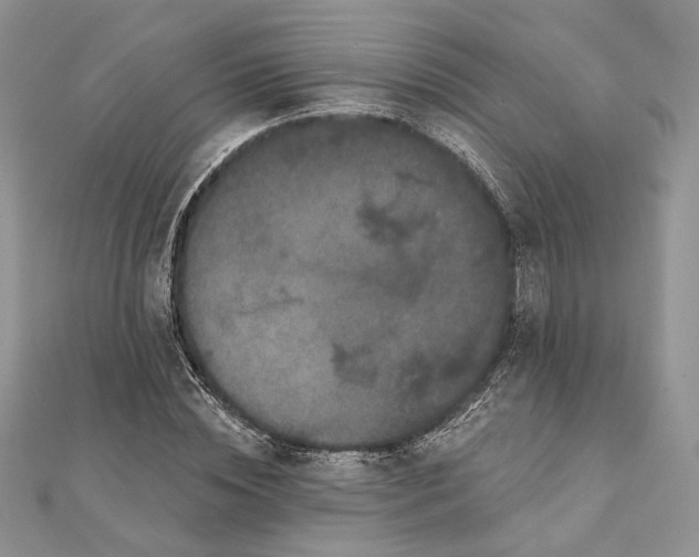 X0000111440828200908031350