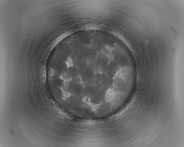 X0000111440829200908031350