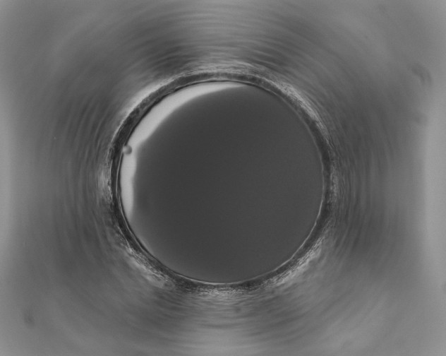 X0000111440830200908031350