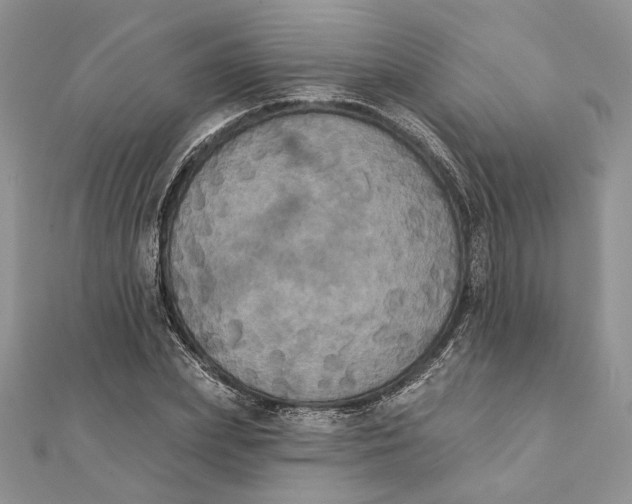 X0000111440831200908031350