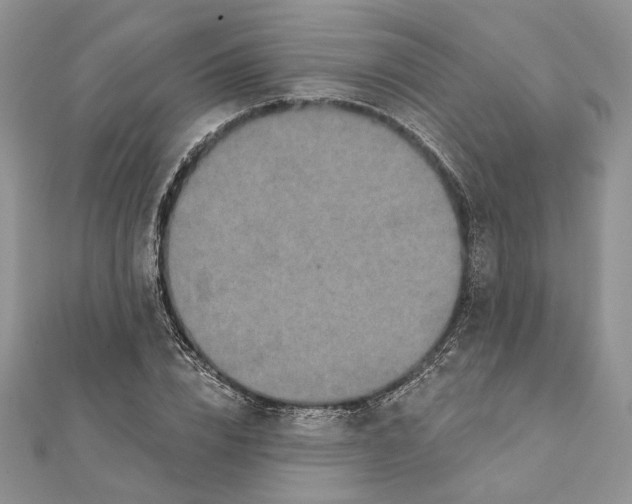 X0000111440832200908031350