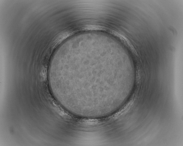 X0000111440833200908031351