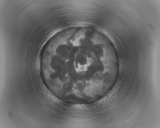 X0000111440835200908031351