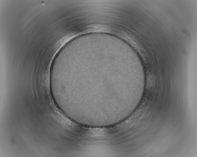 X0000111440836200908031351