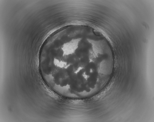 X0000111440837200908031351