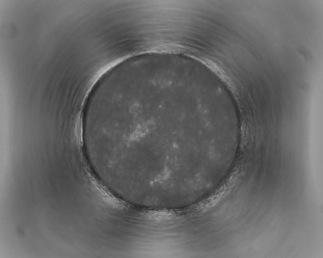 X0000111440838200908031351