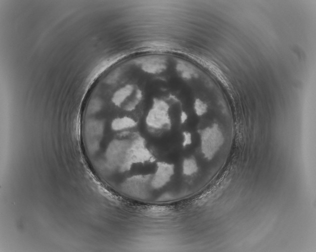 X0000111440839200908031351