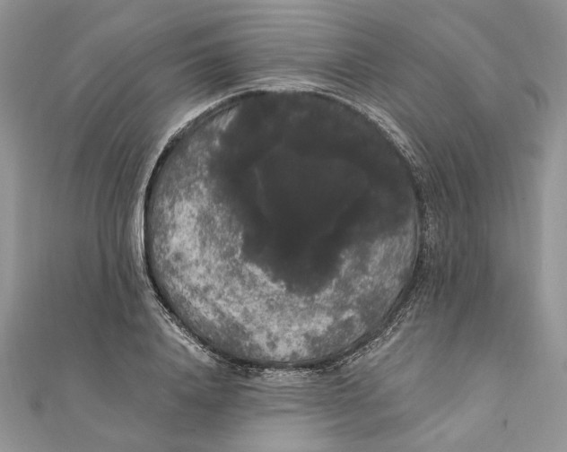 X0000111440840200908031351