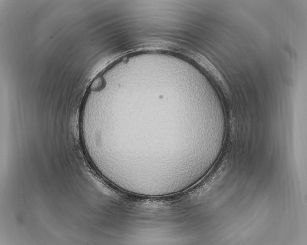 X0000111440842200908031351