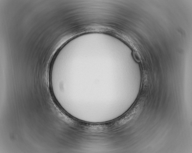 X0000111440843200908031351