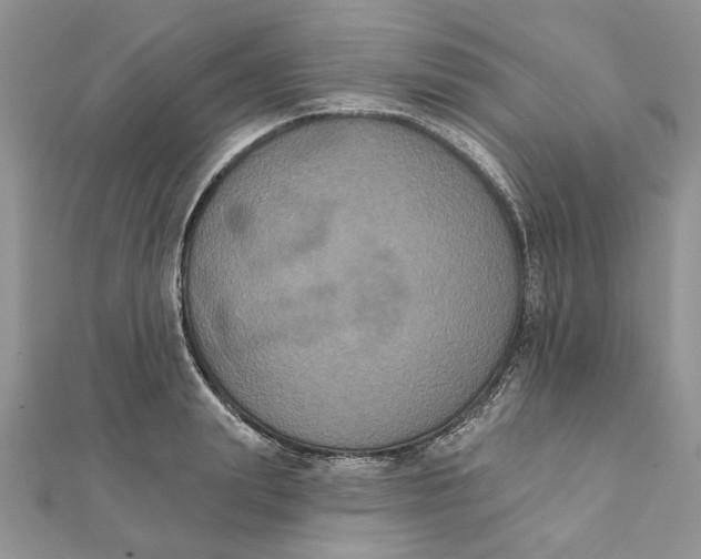 X0000111440847200908031351