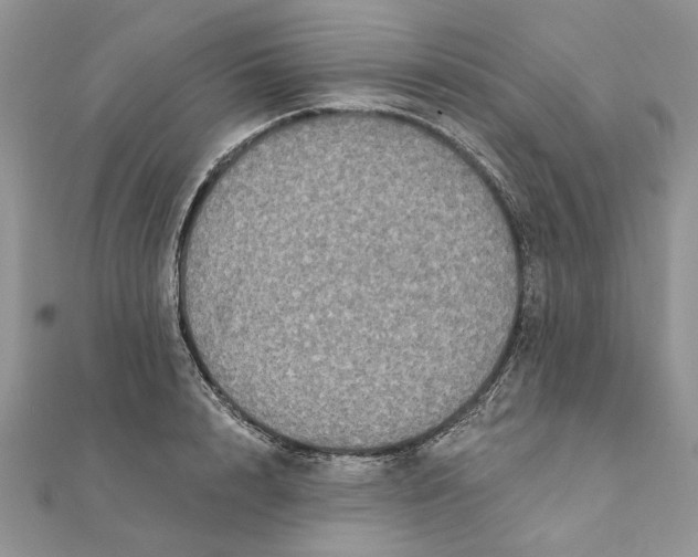 X0000111440848200908031351