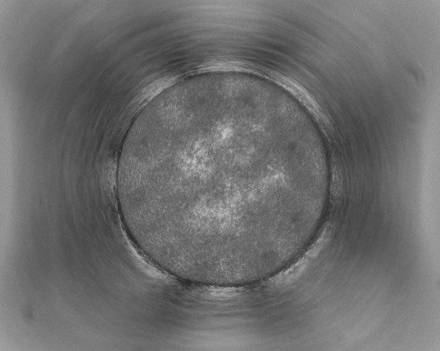 X0000111440849200908031351