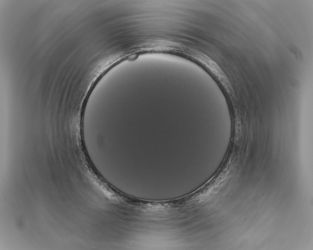 X0000111440850200908031351