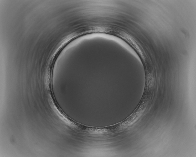 X0000111440851200908031351