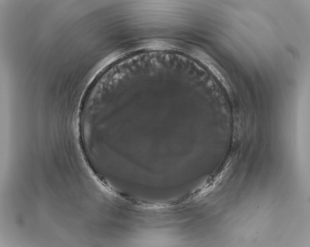 X0000111440853200908031351