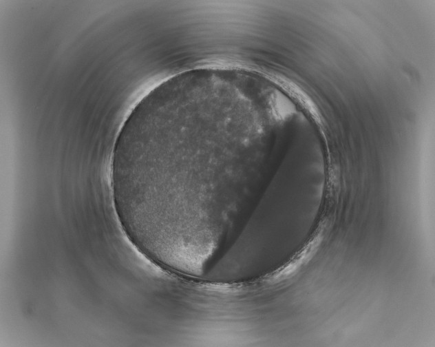 X0000111440855200908031351