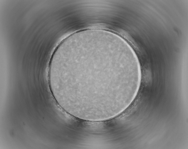 X0000111440856200908031351