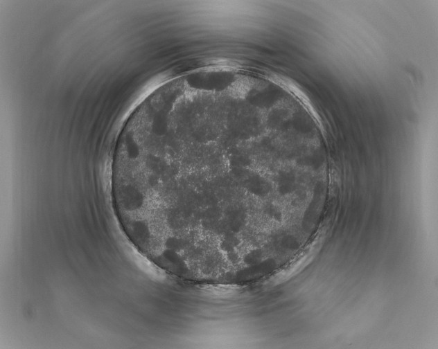 X0000111440859200908031351