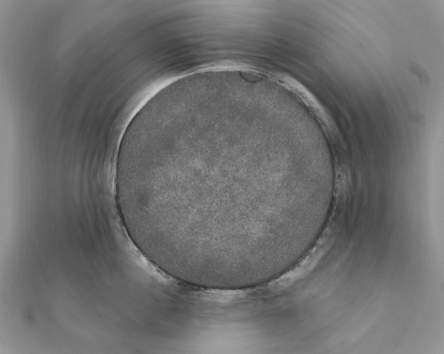 X0000111440860200908031351