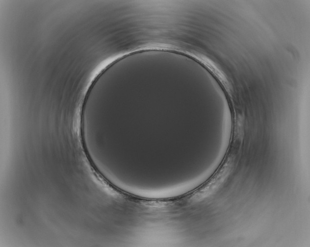 X0000111440862200908031351