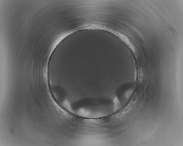 X0000111440863200908031351